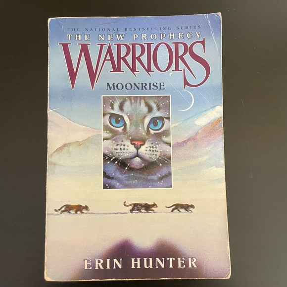 Warrior Cats: The New Prophecy Series - Picture 4 of 8